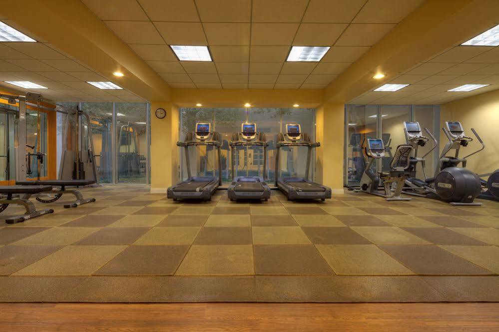 Hilton Westchase 4*